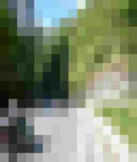 Motorradfahrer auf kurviger Alpenstraße umgeben von grünen Wäldern und Felsen